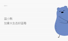 品牌设计的具体内容有哪些