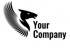 选择专业设计logo公司的优势。